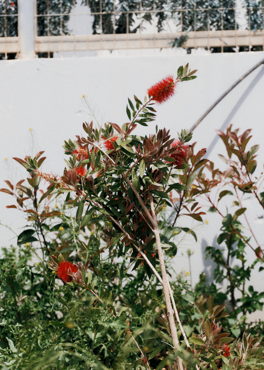 IM_25_25_010_5x7_high_res_srgb_resultat